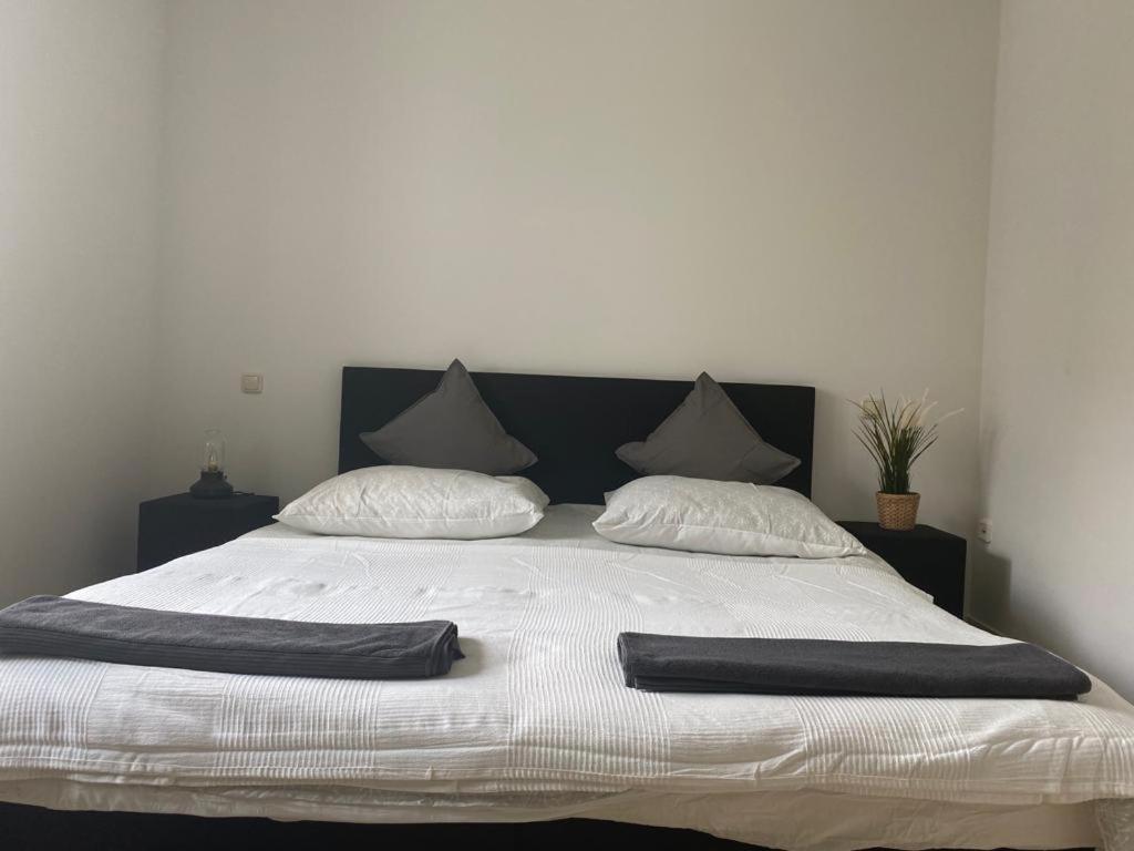Green Stay Aparthotel Essen
